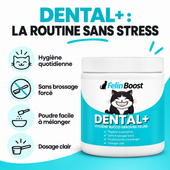 Felin Boost dental — bénéfices en français