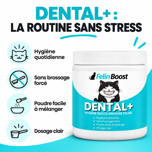 Felin Boost dental — bénéfices en français