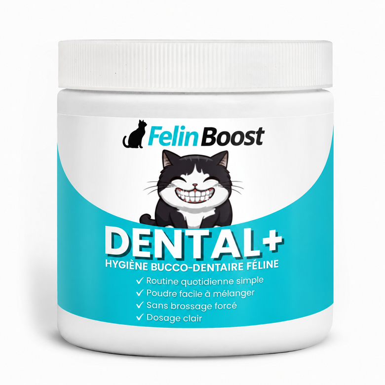 Felin Boost™ Dental+ pour chats