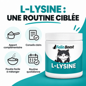 Felin Boost l-lysine — bénéfices en français