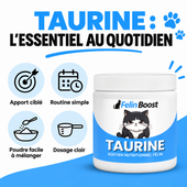 Felin Boost taurine — bénéfices en français